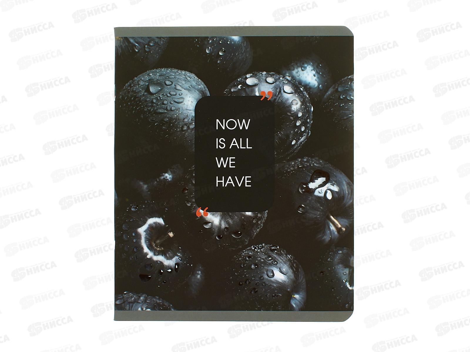 Тетрадь 48л кл. ЭКСМ Natural Black ТКЛ489677 *10/100