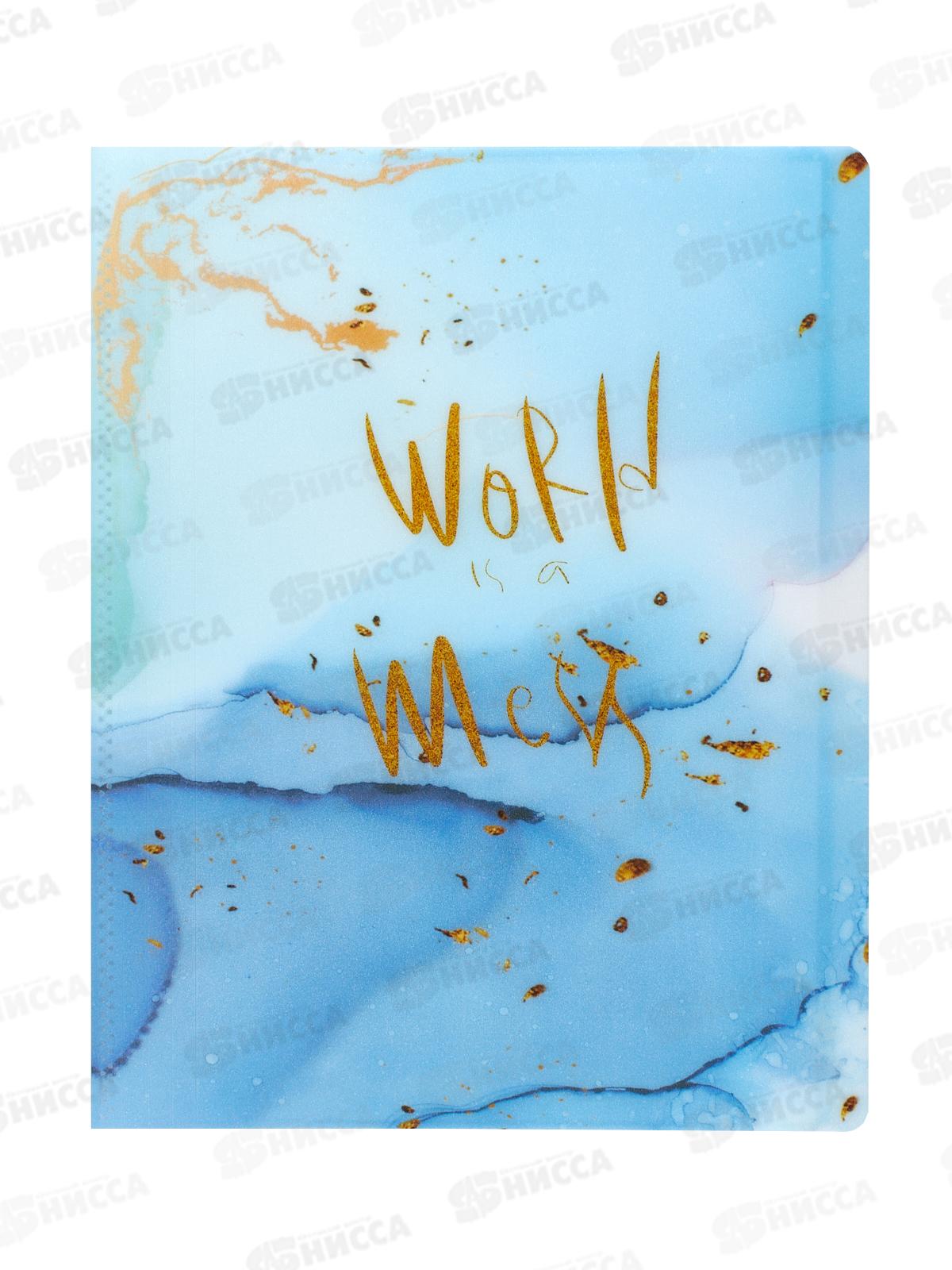 Папка с мульт.  20стр Alingar голубой,AL12804*80