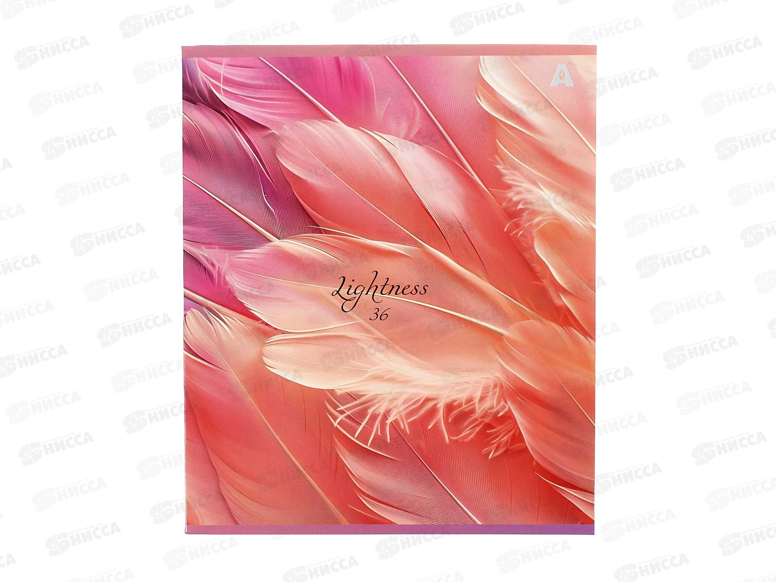 Тетрадь 36л лин. Alingar Lightness, AL10346*12/72