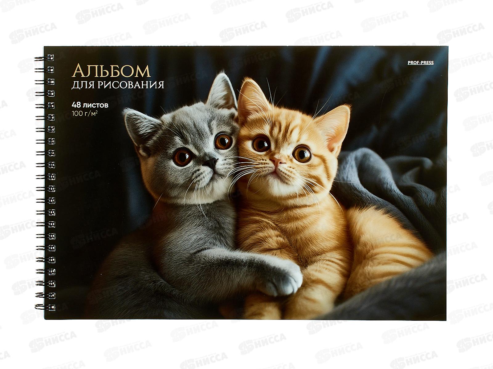 Альбом д/рис.48л ПП Объятия котят, офс., гребень, А48-8300