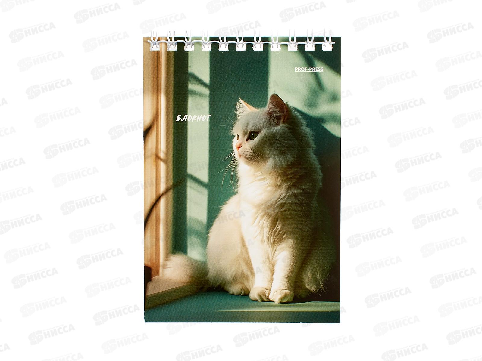 Блокнот ПП 40л А6 Солнечные котики, на гребне, клетка, Б40-7019