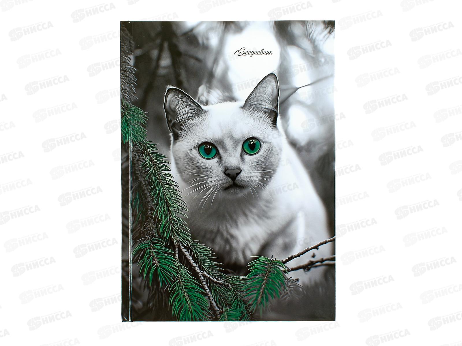 Ежедневник ПП А5 80л Зеленоглазый кот, недатир. 80-6761 *20