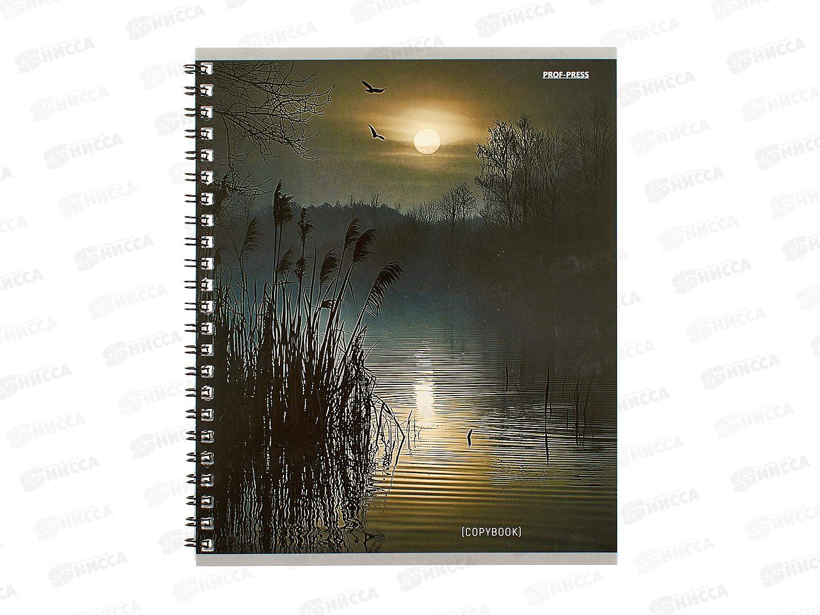 Тетрадь 48л клетка ПП Завораживающие пейзажи - 2, гребень, 48-8618 *4/80