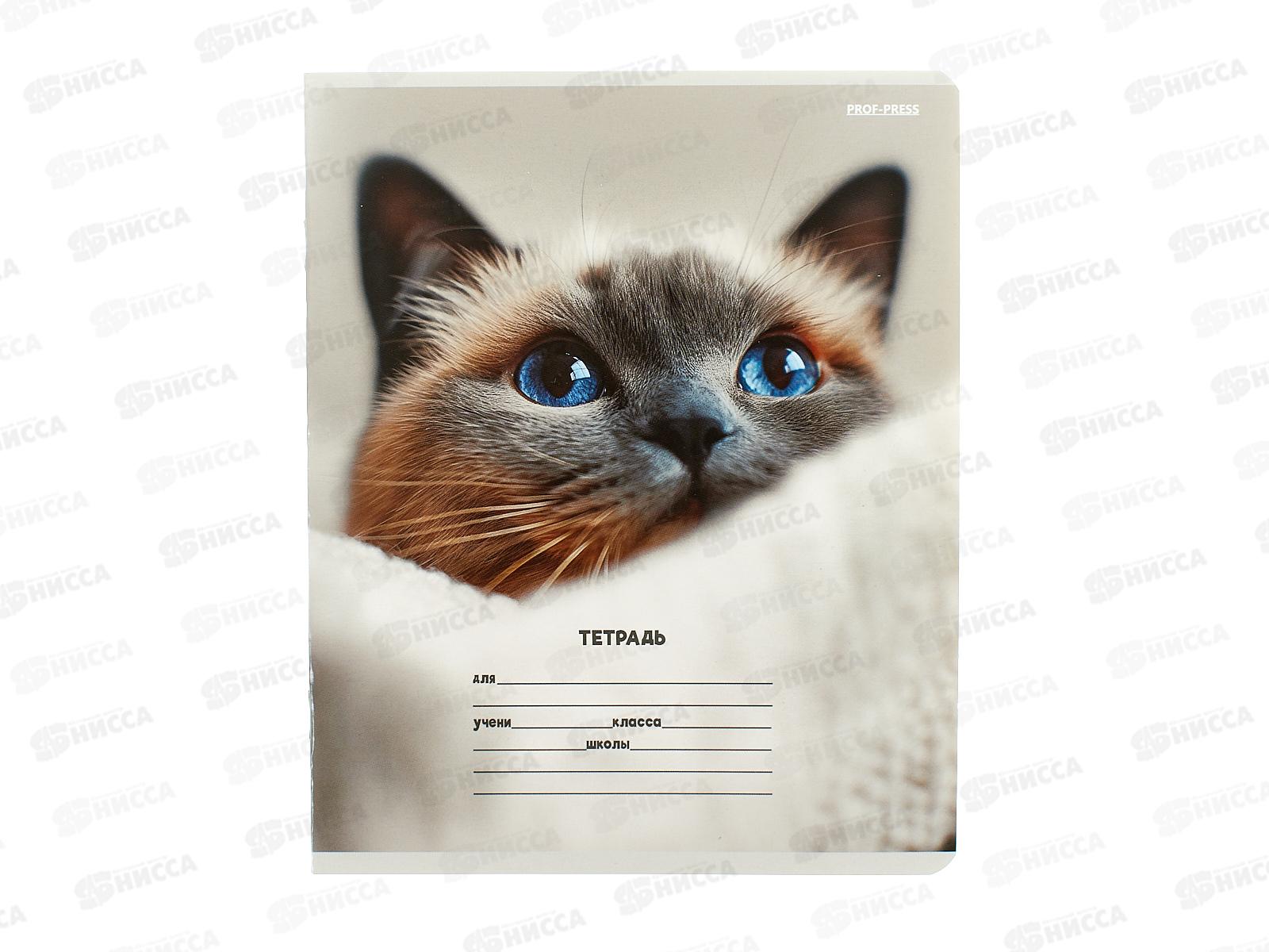 Тетрадь 12л доп. косая линия ПП Кошачьи мордочки - 3, 5 диз., 12-4460 *20/240