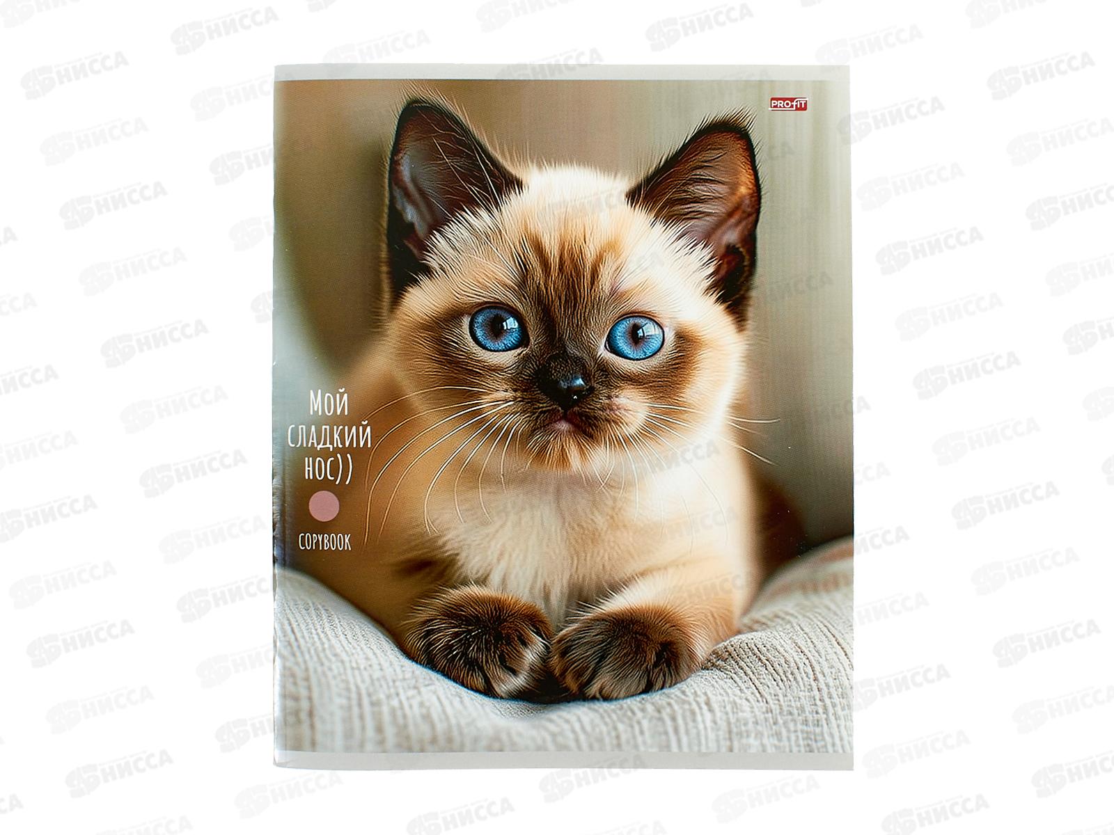 Тетрадь 48л клетка Profit Милые котики - 5, мел., 48-9051 *100