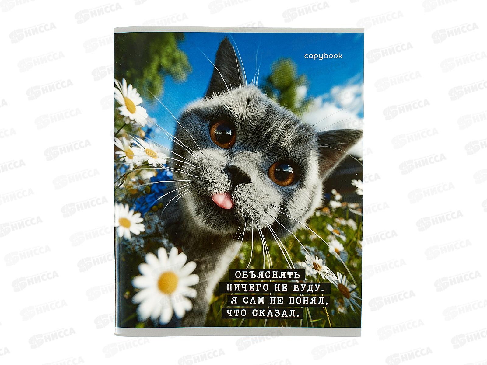 Тетрадь 48л клетка ПП Коты-мемы, 5 диз., Т48-9122 *10/100