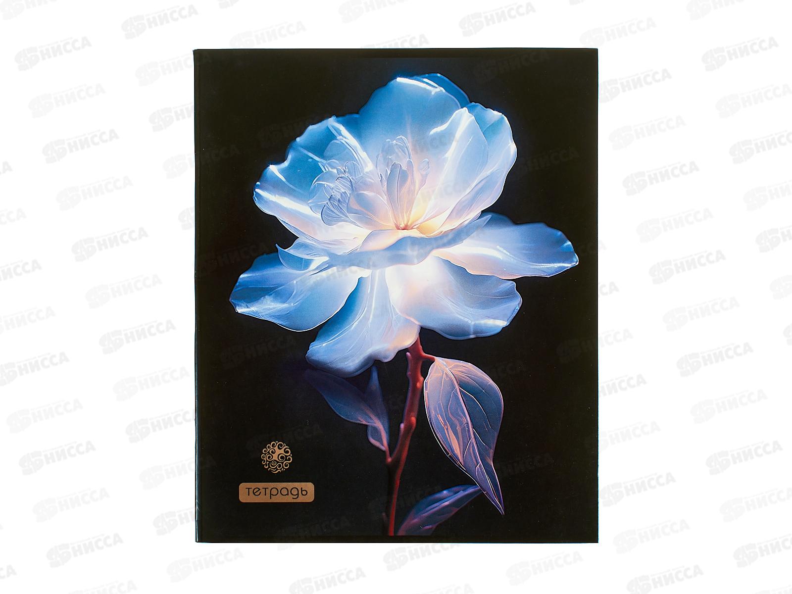 Тетрадь 40л кл. Апплика Яркий цветок, С6046-33 *80