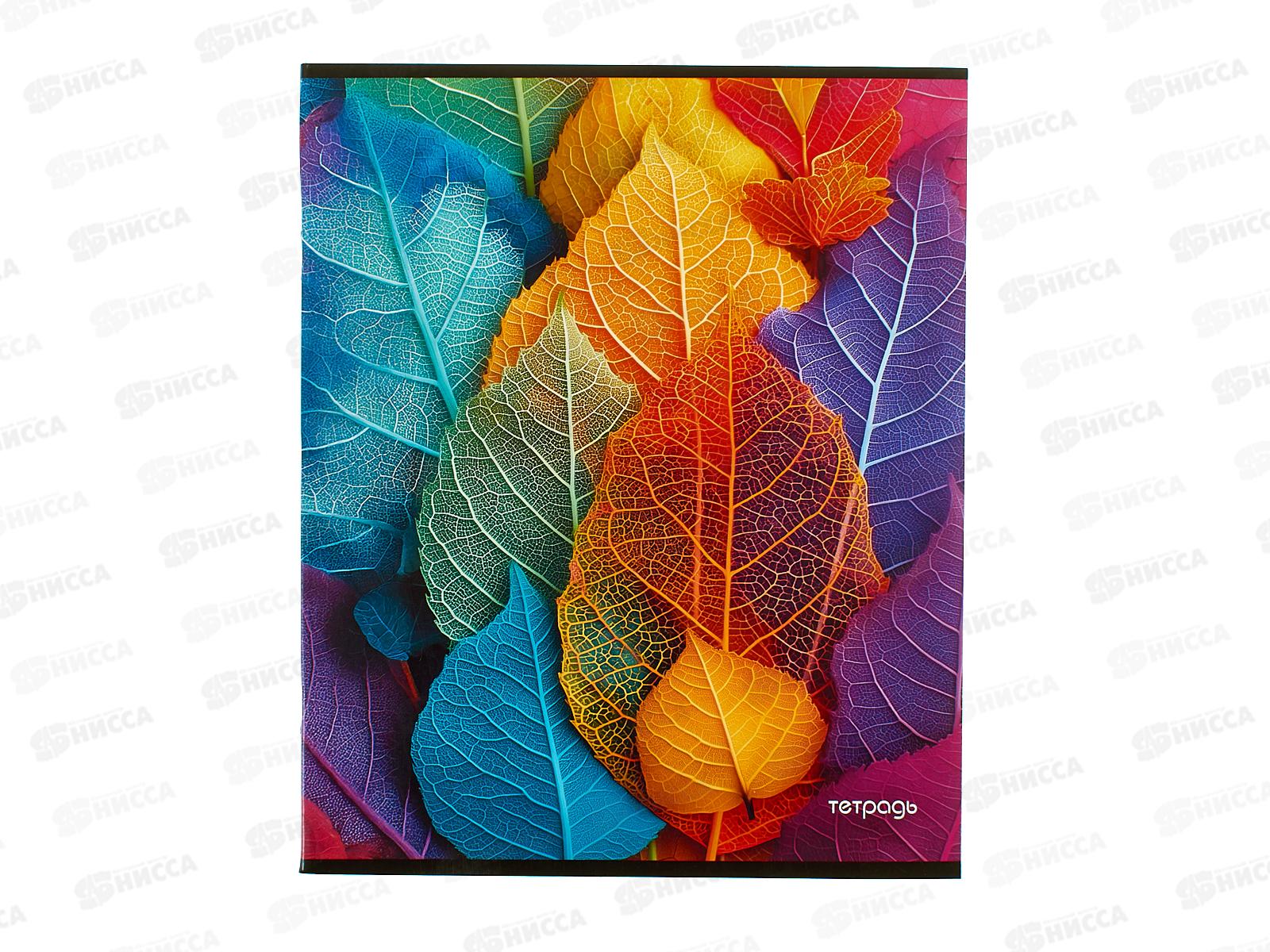 Тетрадь 40л кл. Апплика Яркие листья ,С6046-36 *80