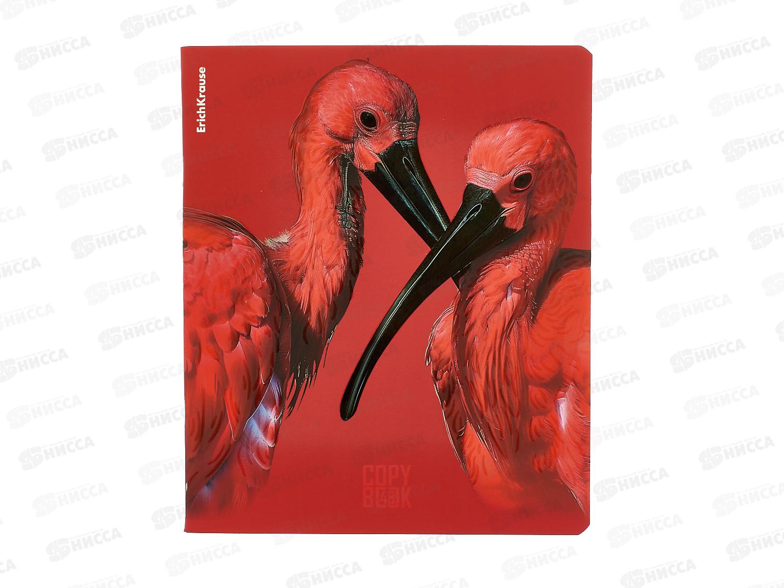 Тетрадь 48л кл. ПОЛИ Scarlet 64868*5/100