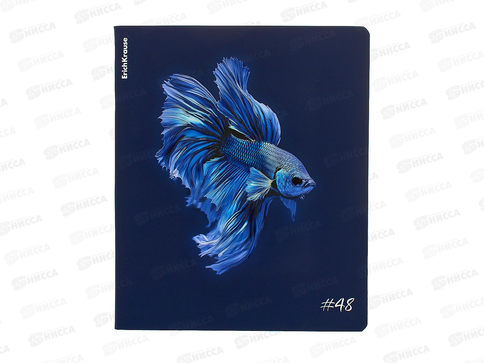 Тетрадь 48л кл. ПОЛИ indigo 64867*5/100