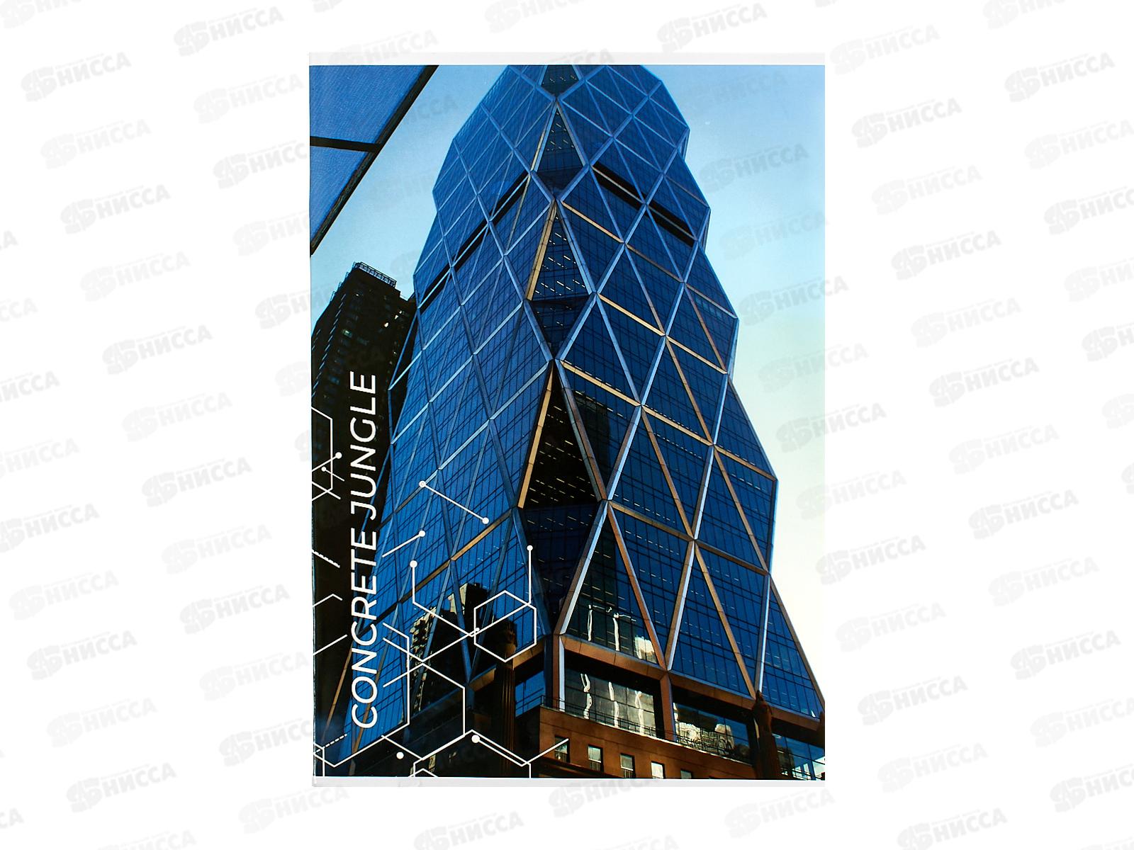 Тетрадь 48л кл. АКАД А4 EAC-11662/3  *42