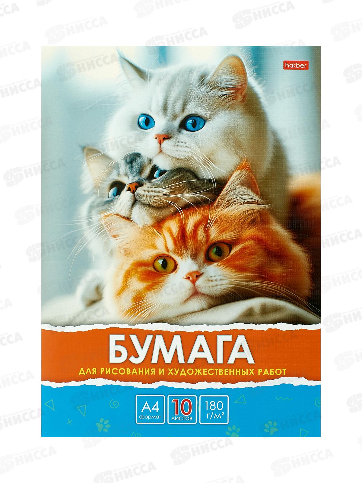 Папка д/рисования и худ.работ  А4 10л Hatber Белый, серый, рыжий.34881