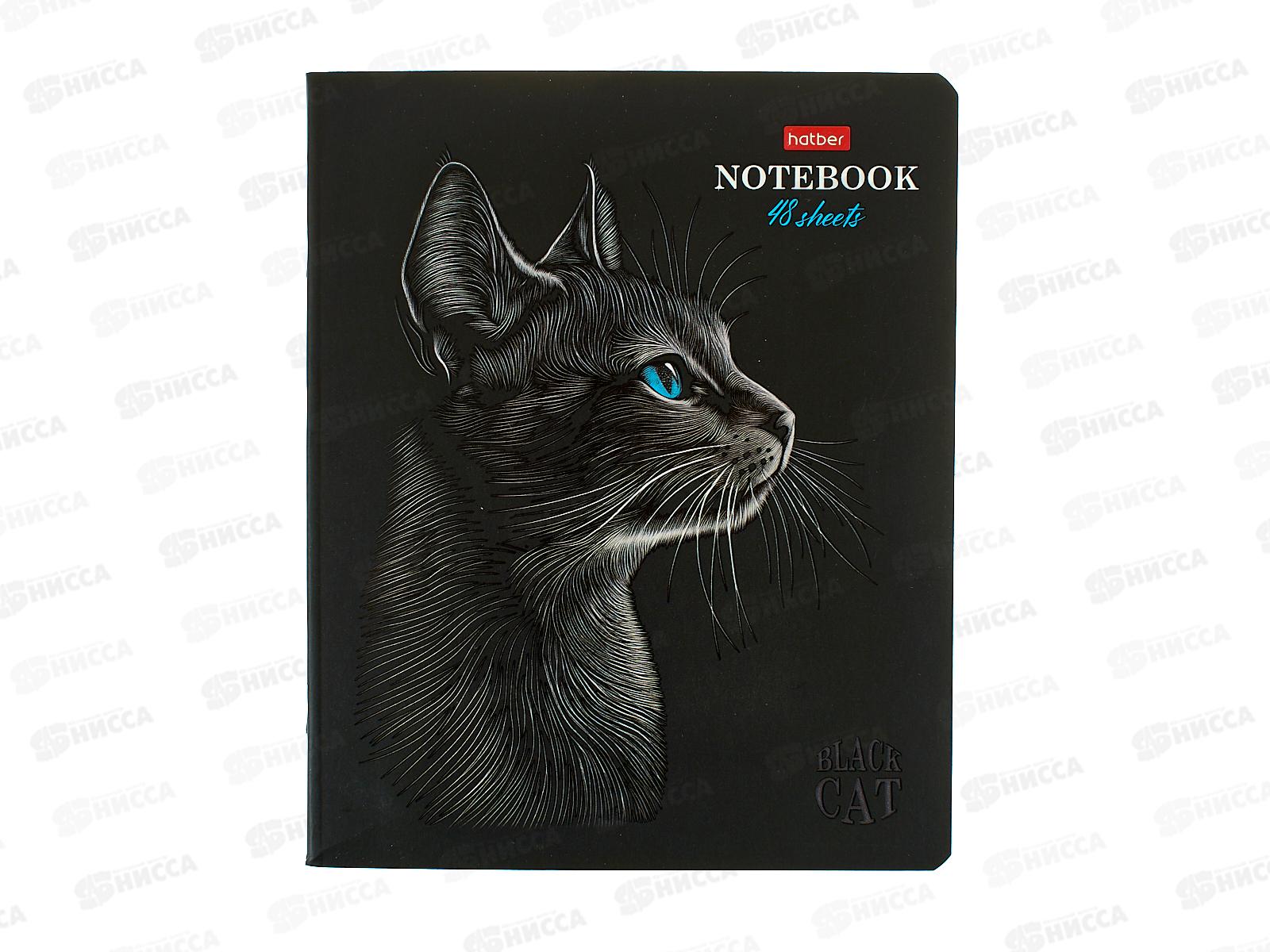 Тетрадь 48л кл. Hatber Black Cat 093159 *5/60