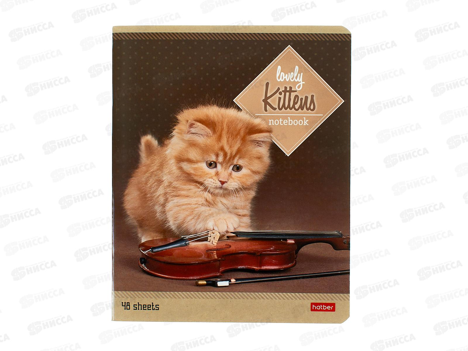 Тетрадь 48л лин. Hatber Котята, 047012 *5/60