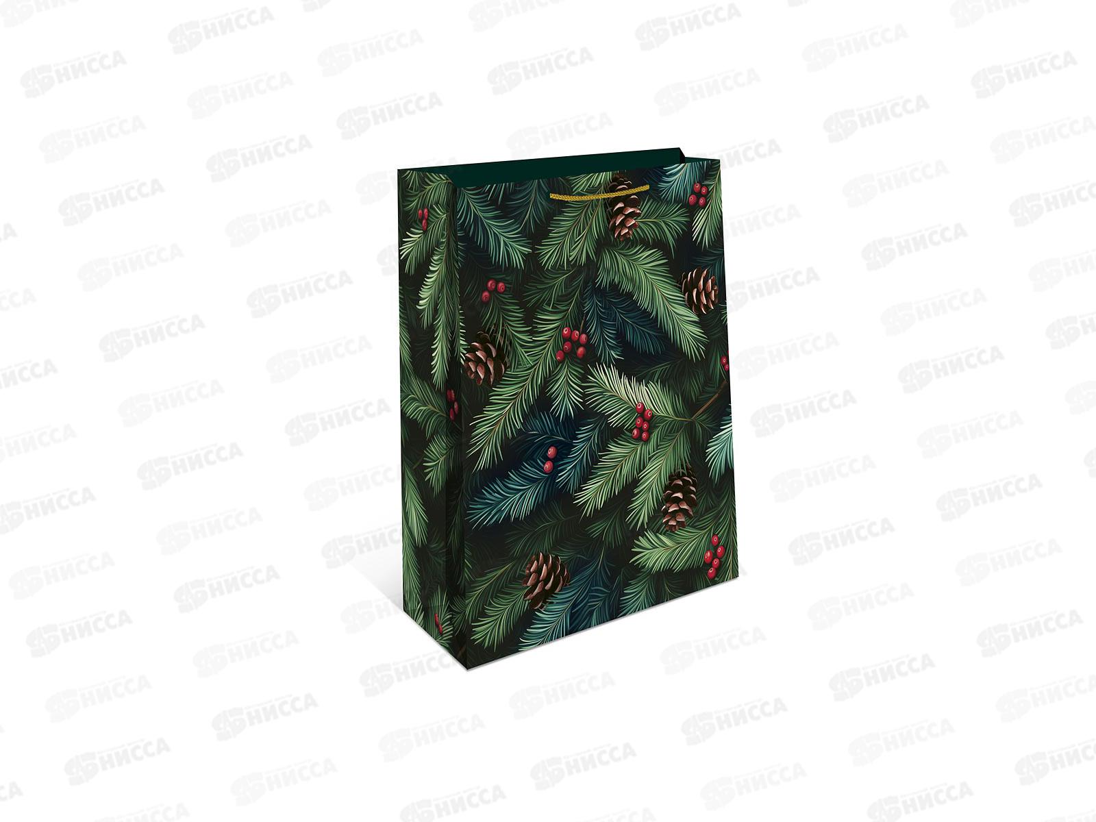 Пакет бум. подарочный НГ 18*22,3*10 0192.594