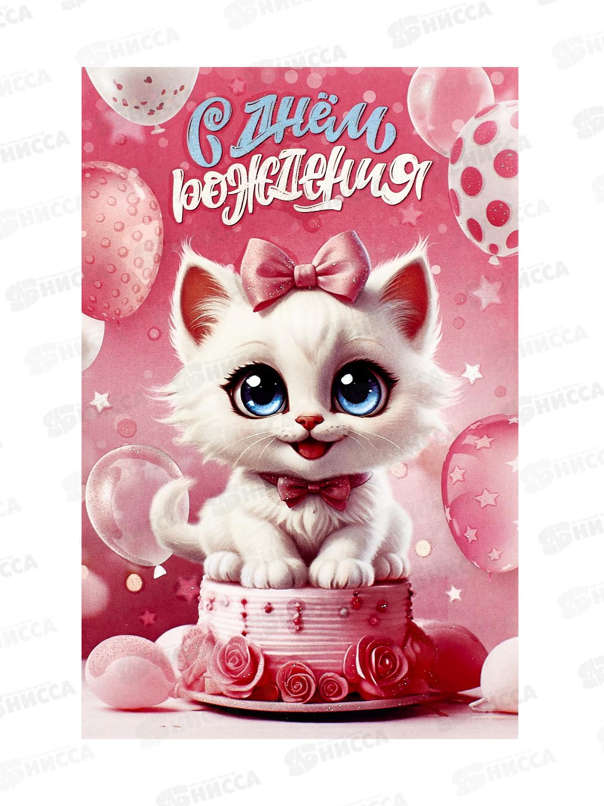 Открытка ЛиС А5 С Днём Рождения, 23-332-В