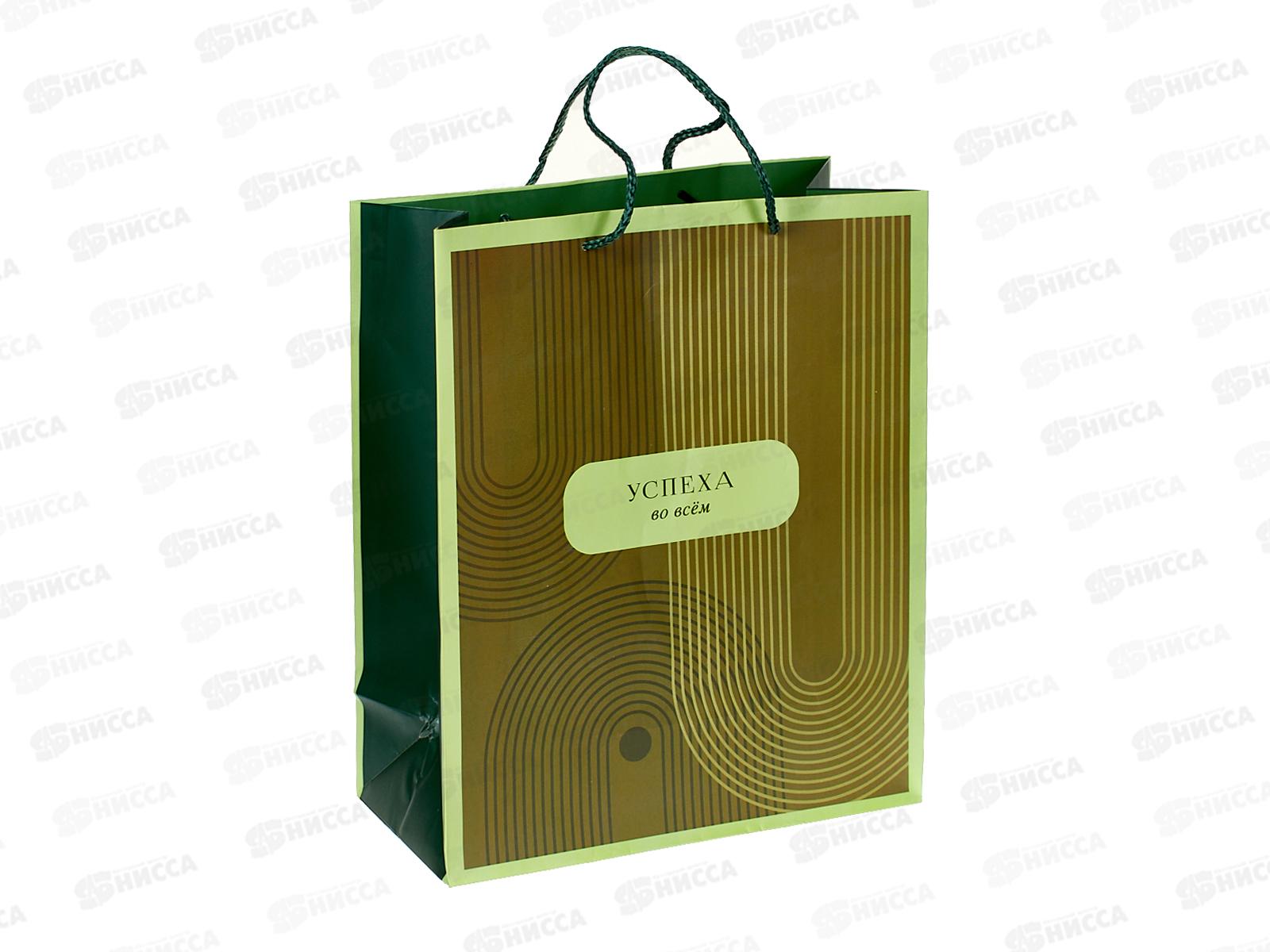 Пакет подарочный АД 26*32 0193.857