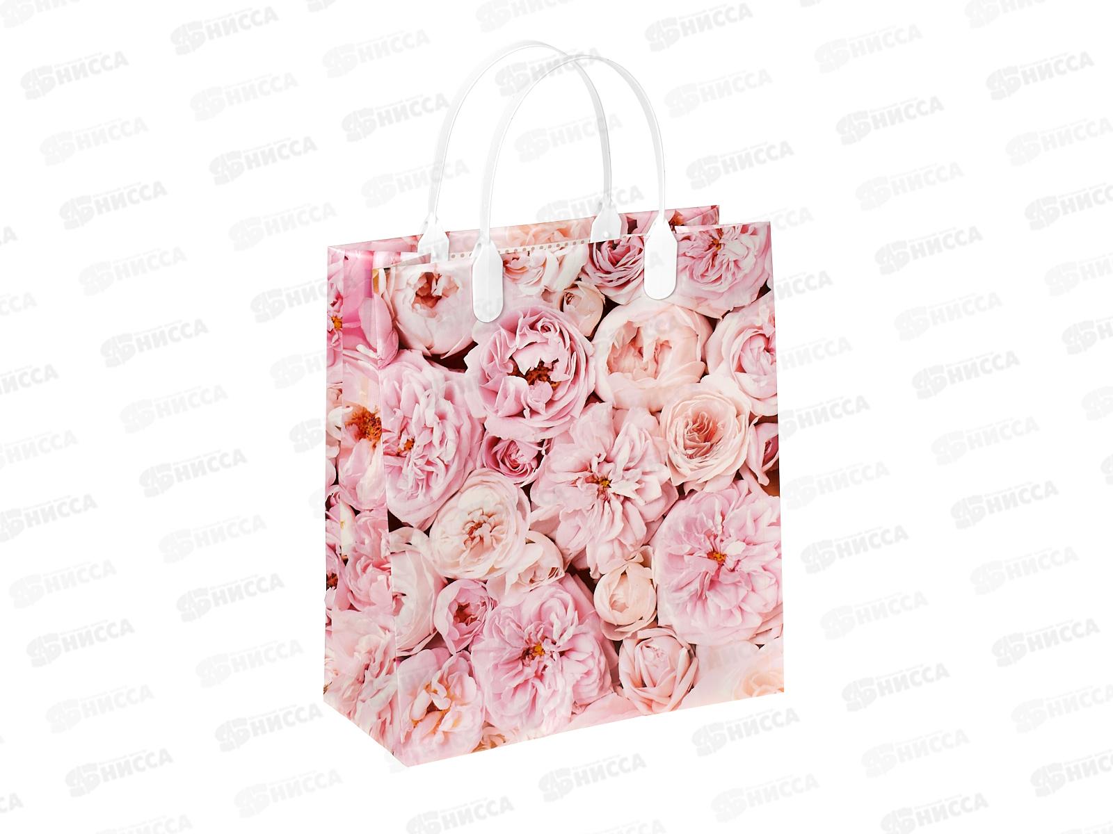 Сумочка пластик мягкий 23*27 Мариэль *40