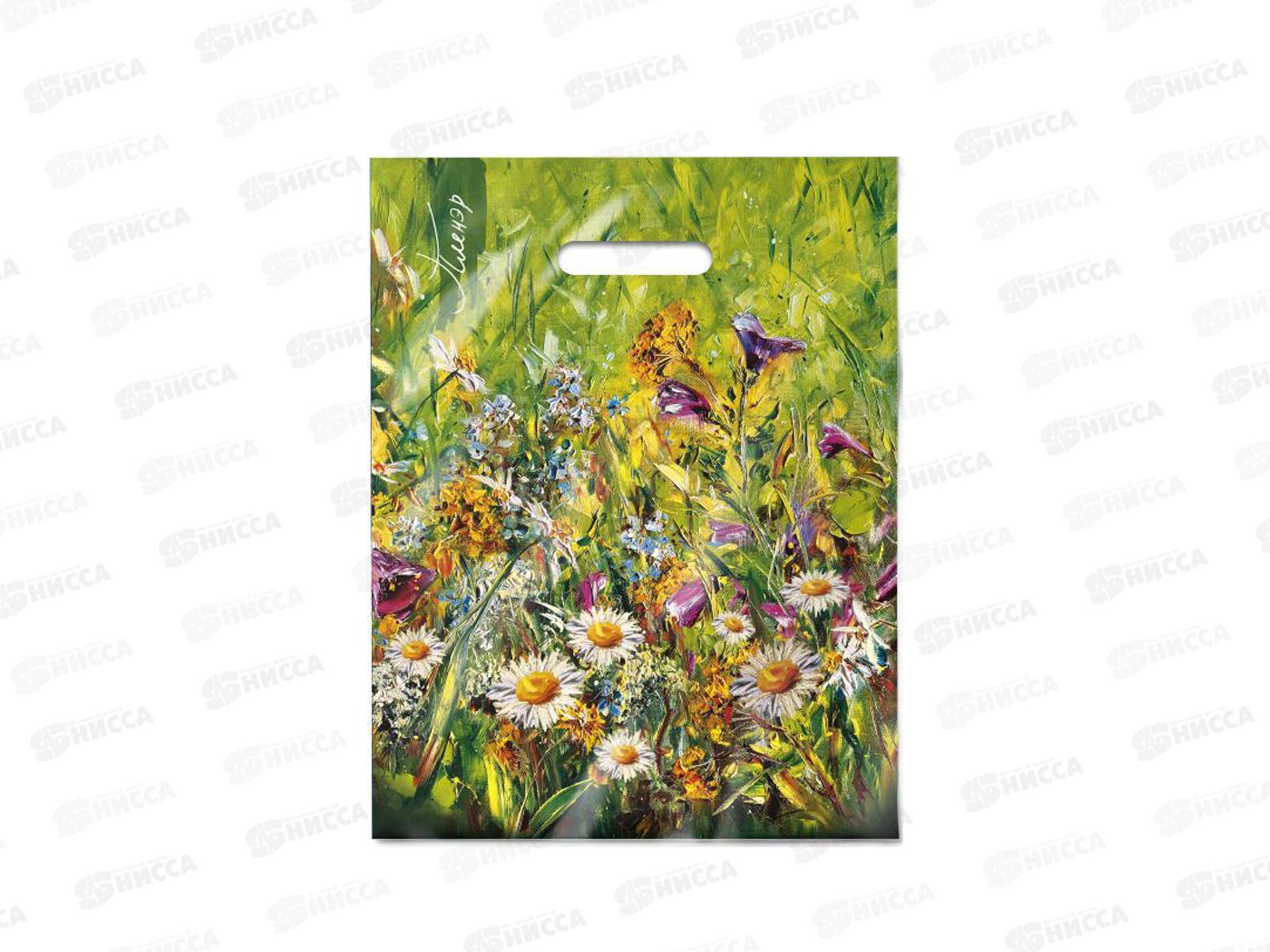 Пак. пробивной 31*40  Пленэр *50/500