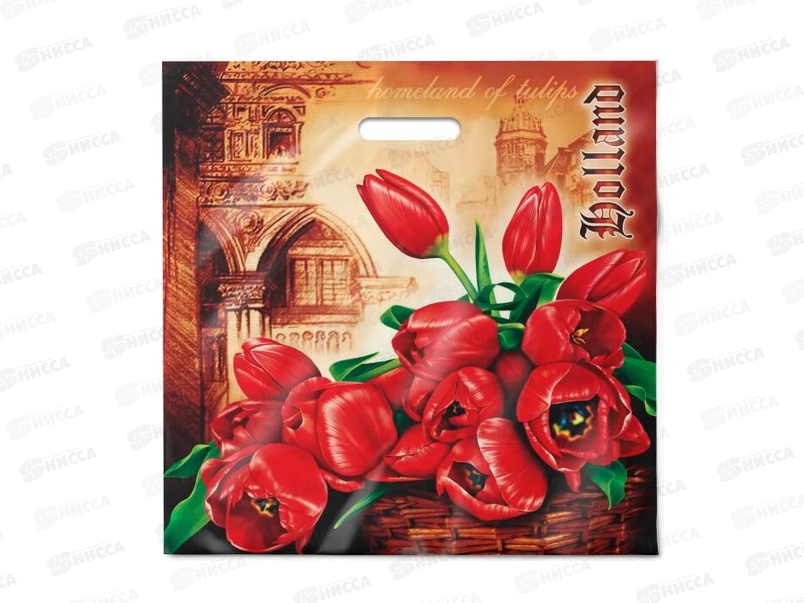 Пак. пробивной 44*44 Голландия *50/500