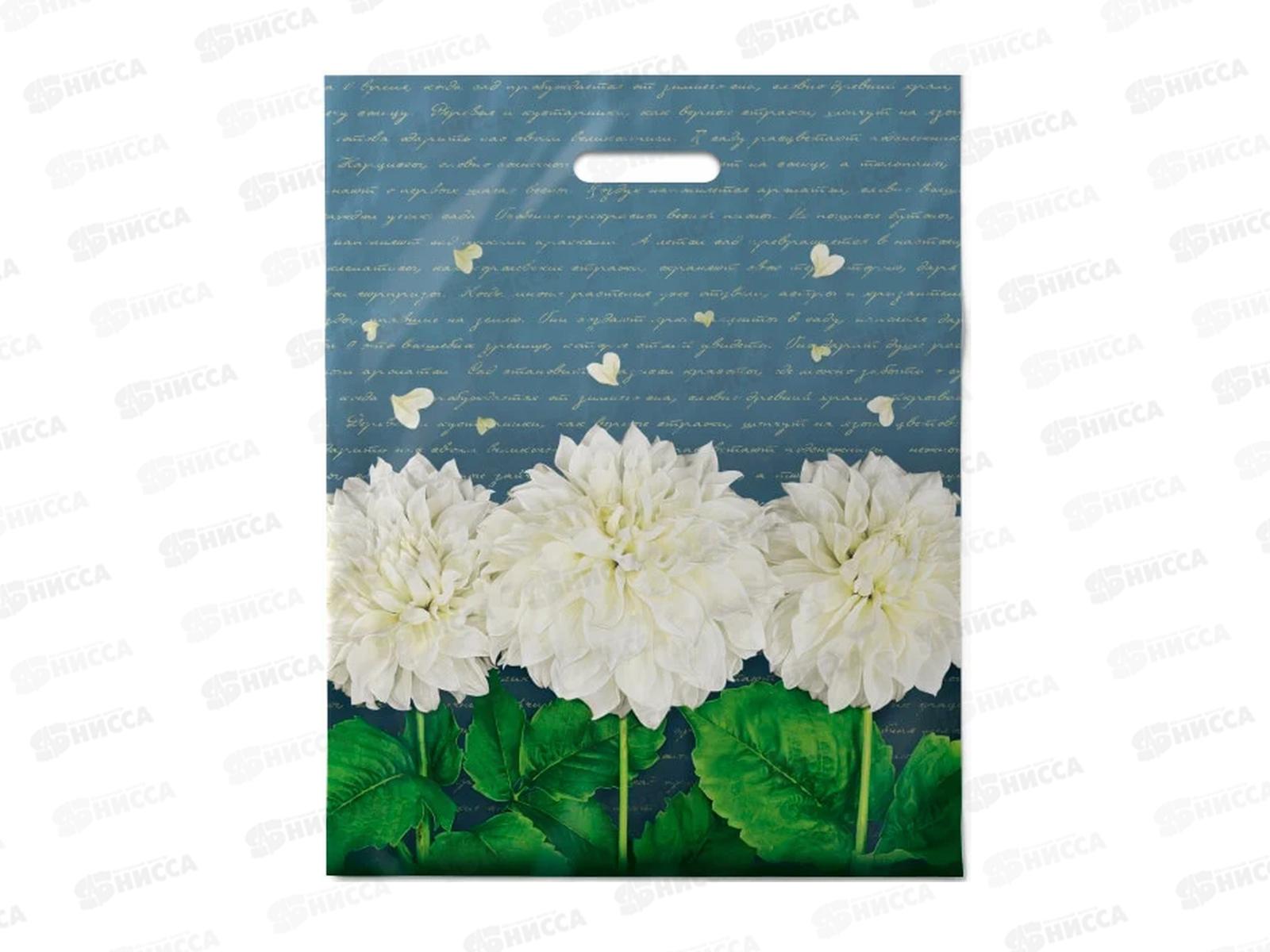 Пак. пробивной 40*50 Аллегория *50/500