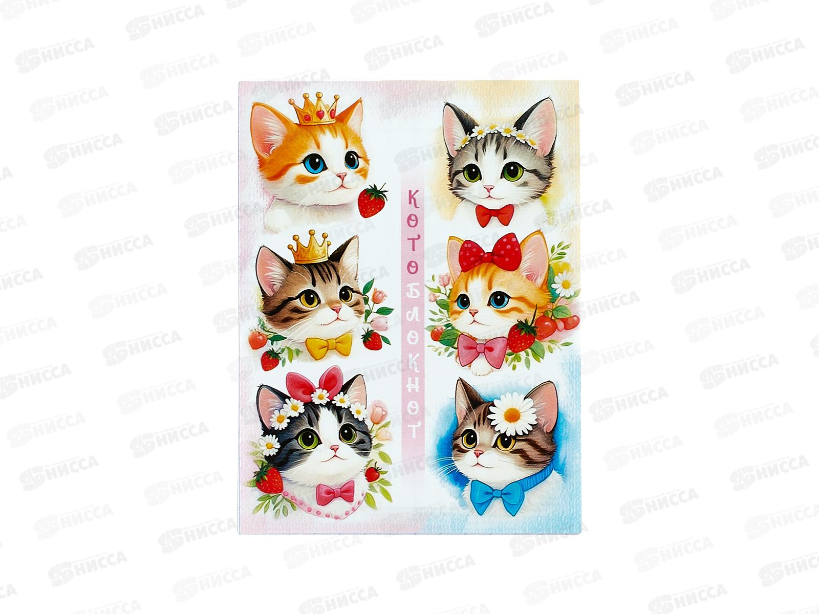 Блокнот 16л ПГС Котоблокнот, А7 *24