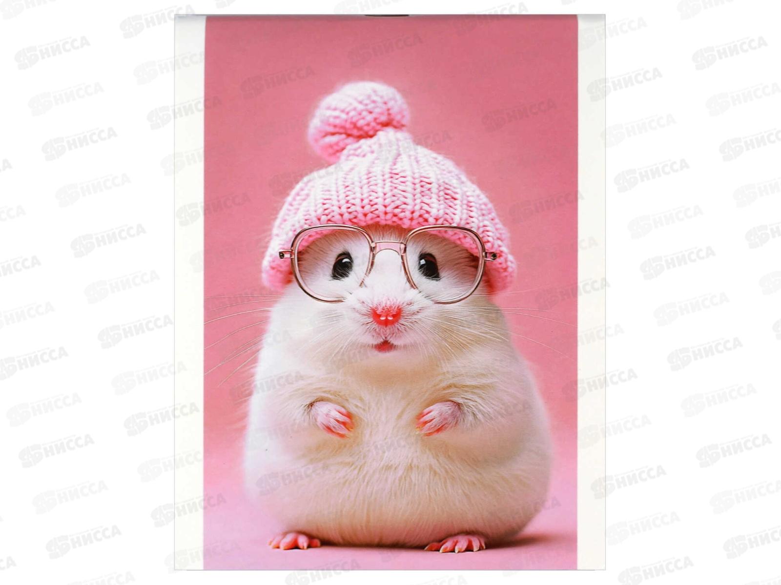 Блокнот 40л ФЕН А6 Мышка в шапочке, 71601 *5/80