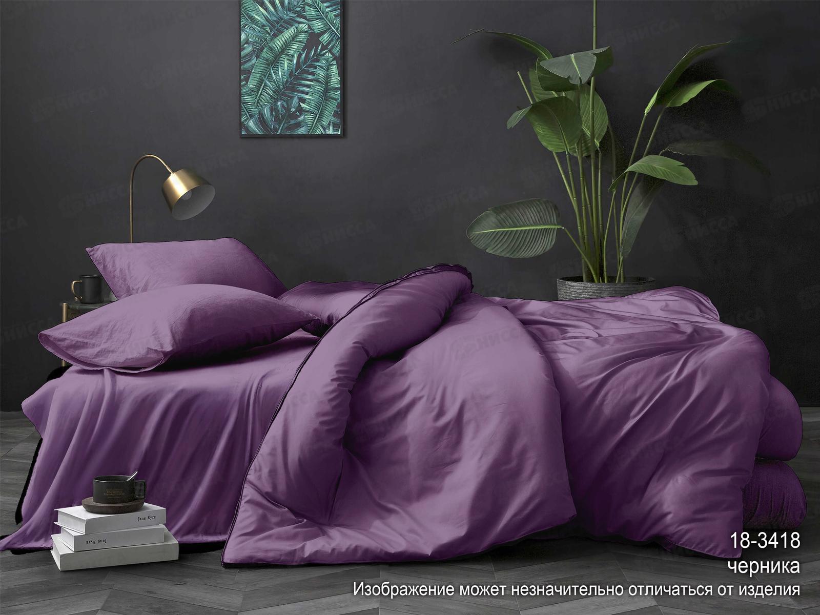 Комплект постельного белья 2,0сп европростыня LUXOR поплин гл/кр № Черника