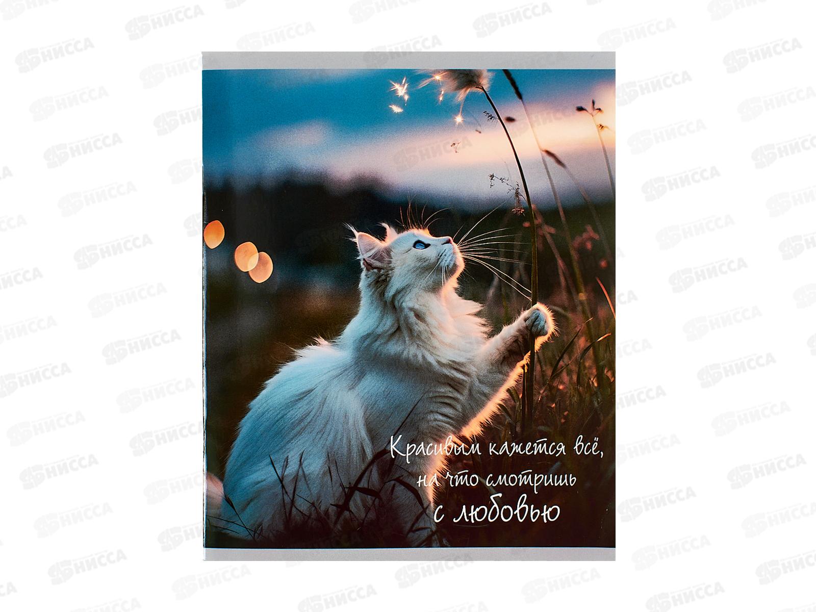 Тетрадь 48л кл. ЭКСМ Расслабься ТК489642 *10/100