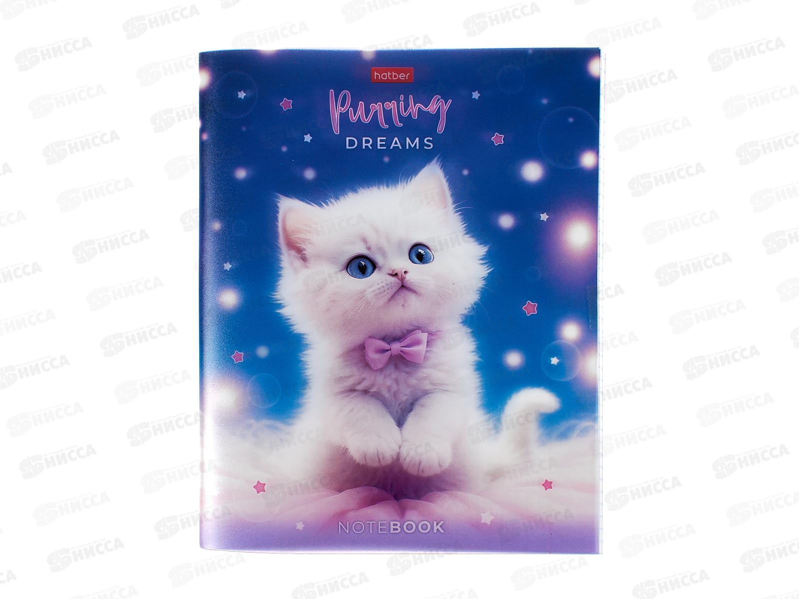 Тетрадь 48л кл. Hatber Нежные мечты. пласт. обл. 092369  *5/50