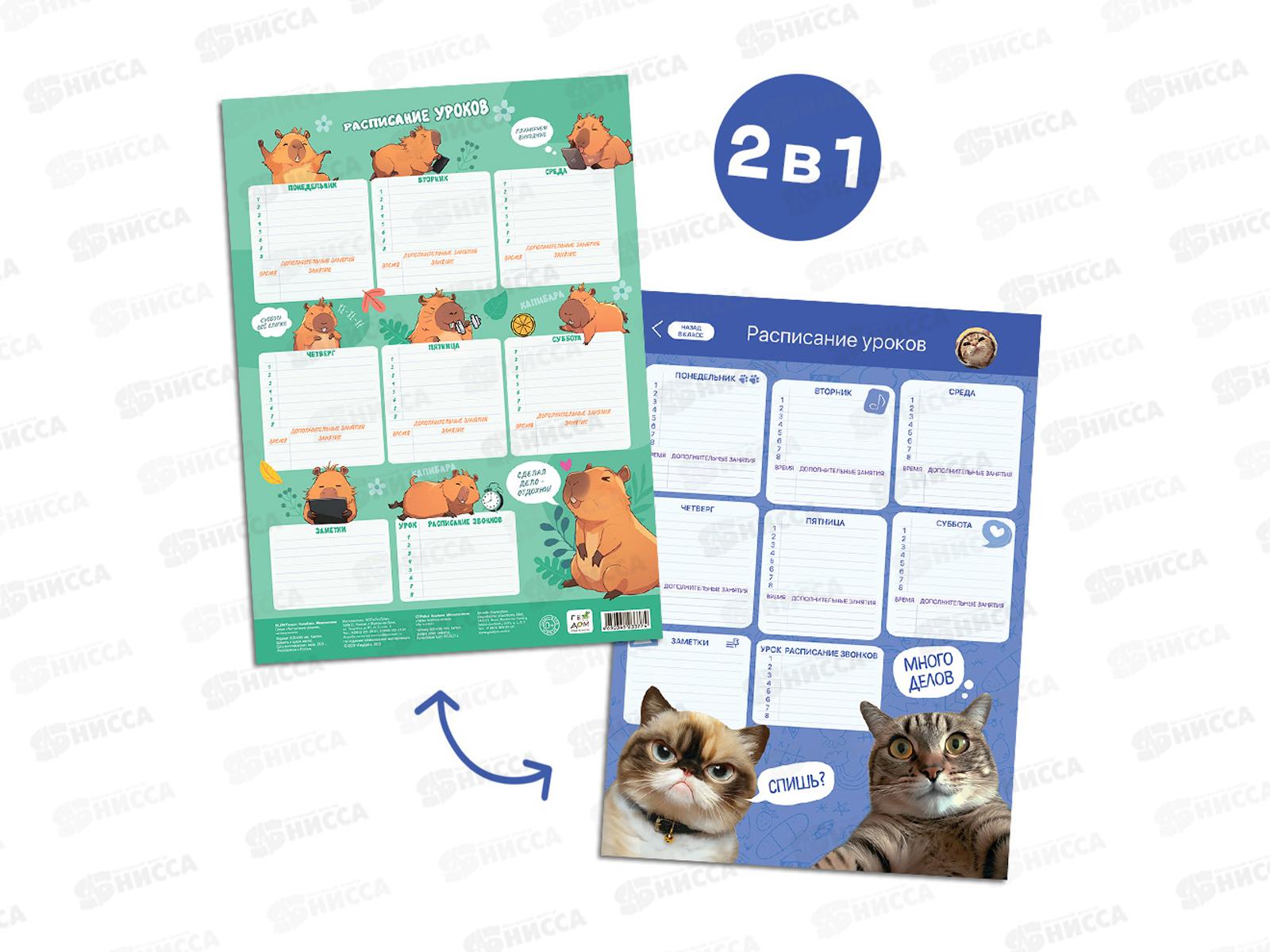Расписание уроков ГД. Капибара+Мемокотики А3 многораз, 33774