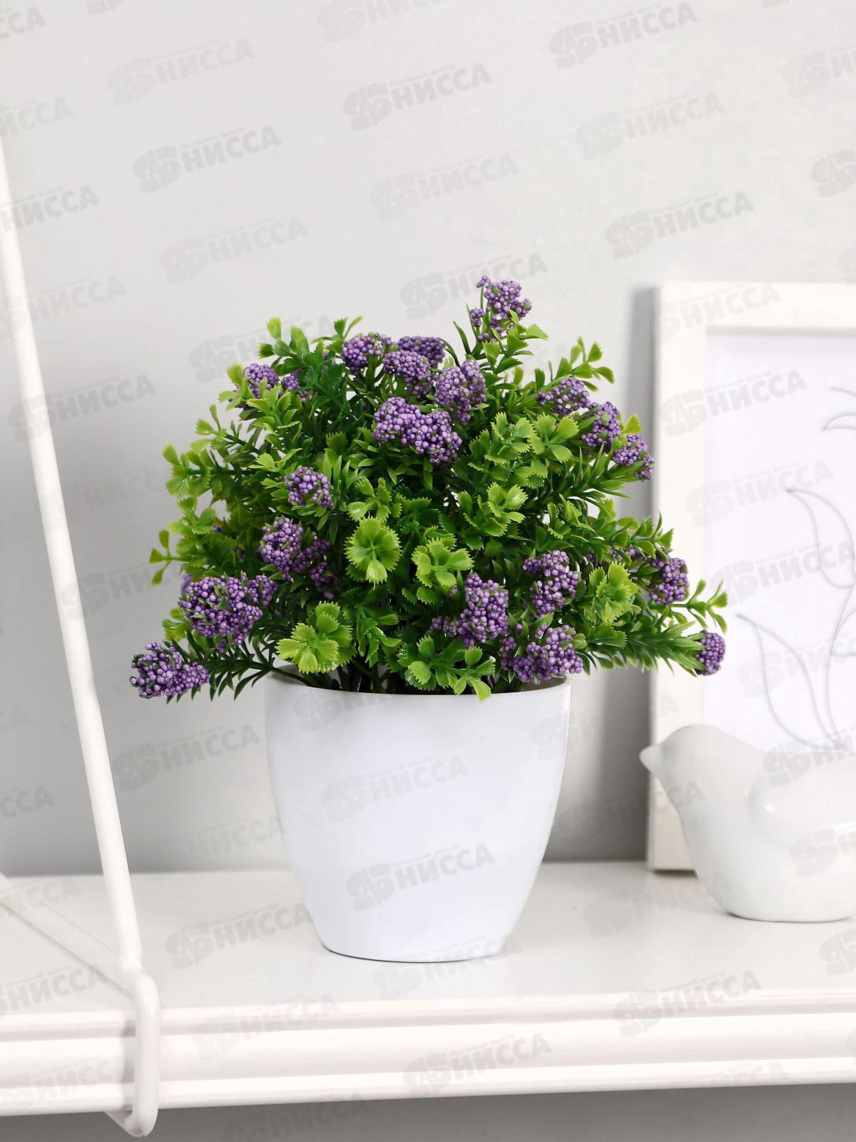 Бонсай в горшке &quotОзотамнус в листве&quot 8*16см микс 4555648