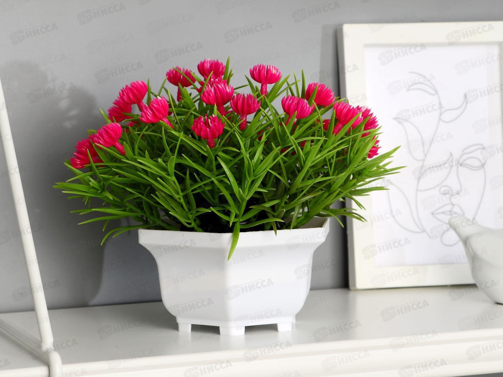 Бонсай в горшке &quotЧернушка дамасская&quot 18*15см микс 9222728