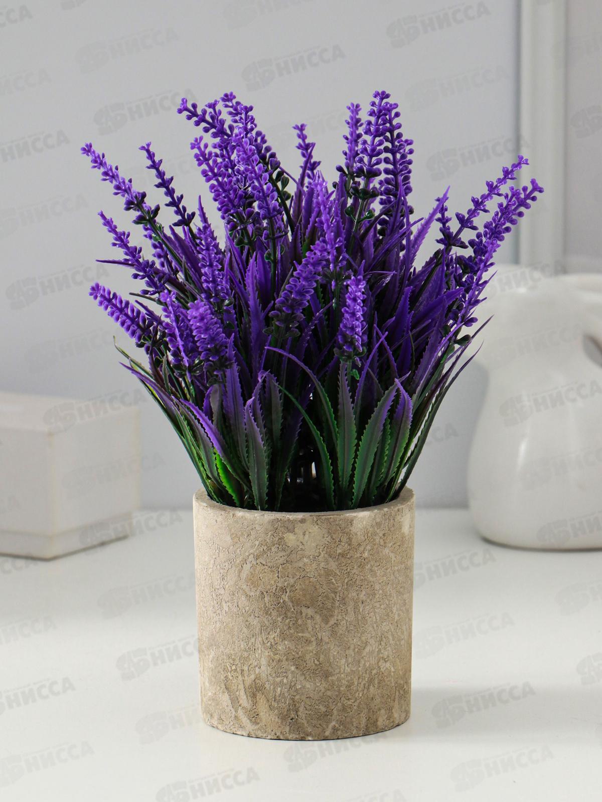 Бонсай в горшке &quotЛаванда куст&quot 7,5*19см микс 9750526