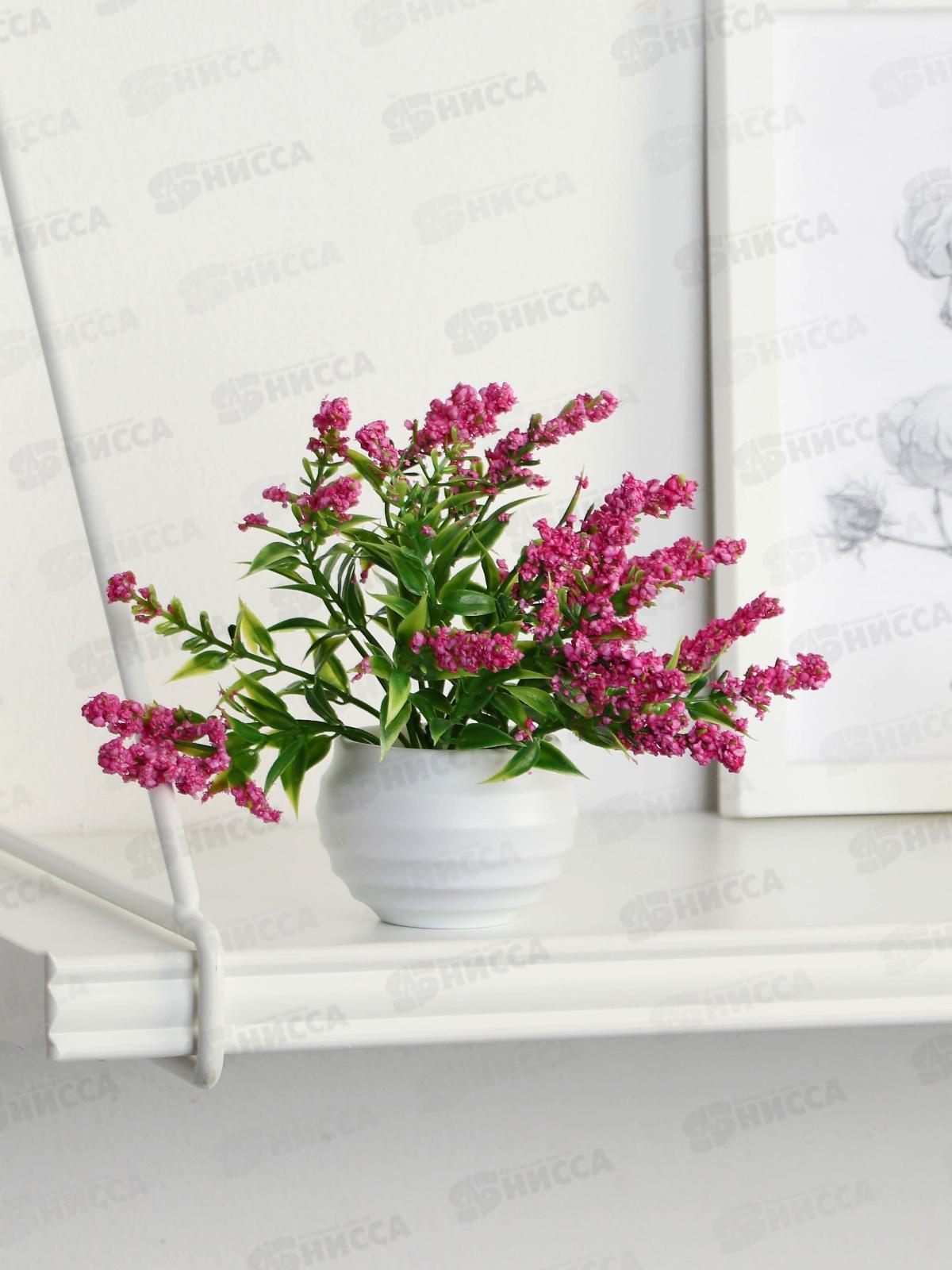 Бонсай в горшке &quotШалфей предсказателей&quot 5,5*11см микс 9789744