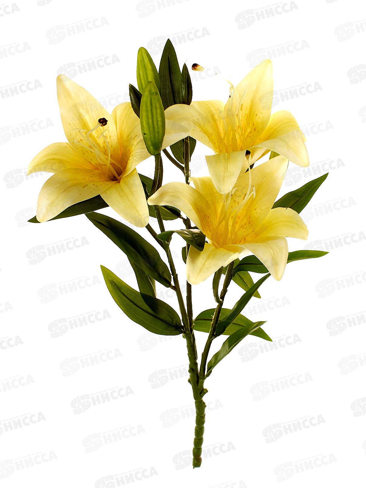 Букет 45см 3гол. №62 микс 81116  *20  Б