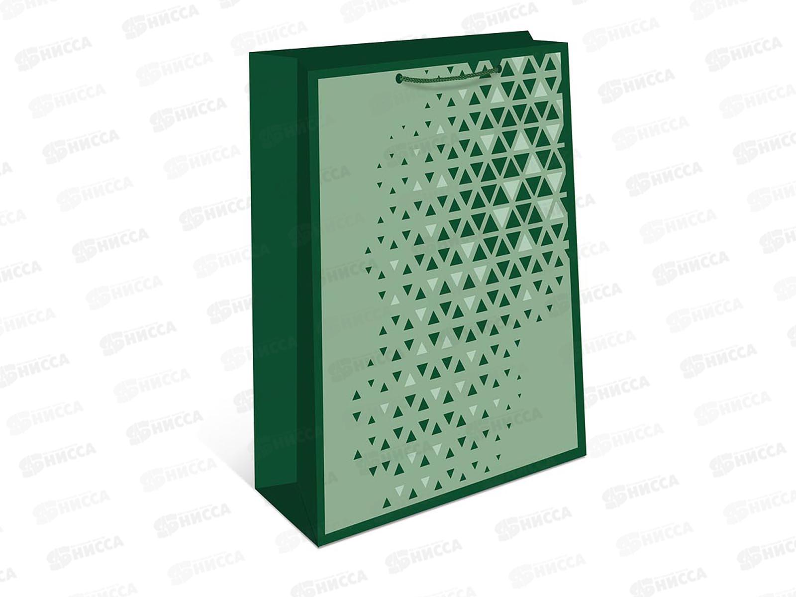 Пакет подарочный АД 18*22,3 0192.899