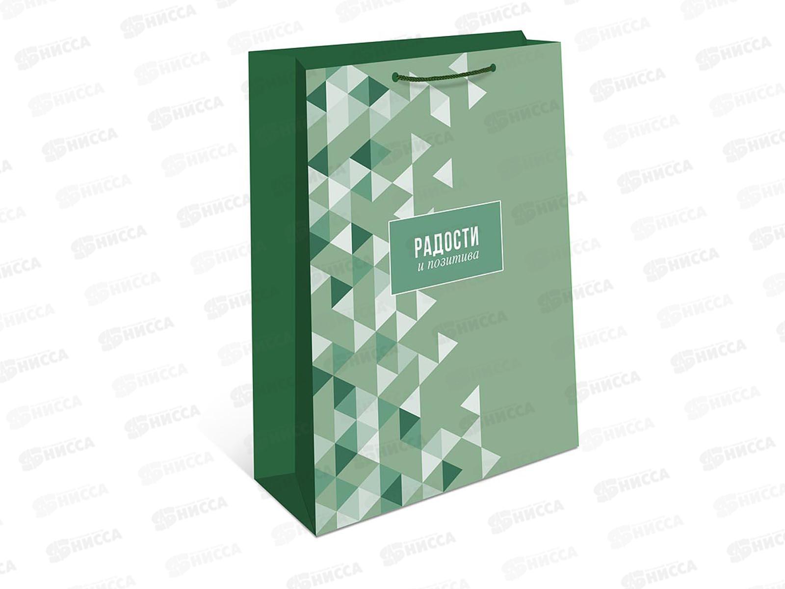 Пакет подарочный АД 18*22,3 0192.900