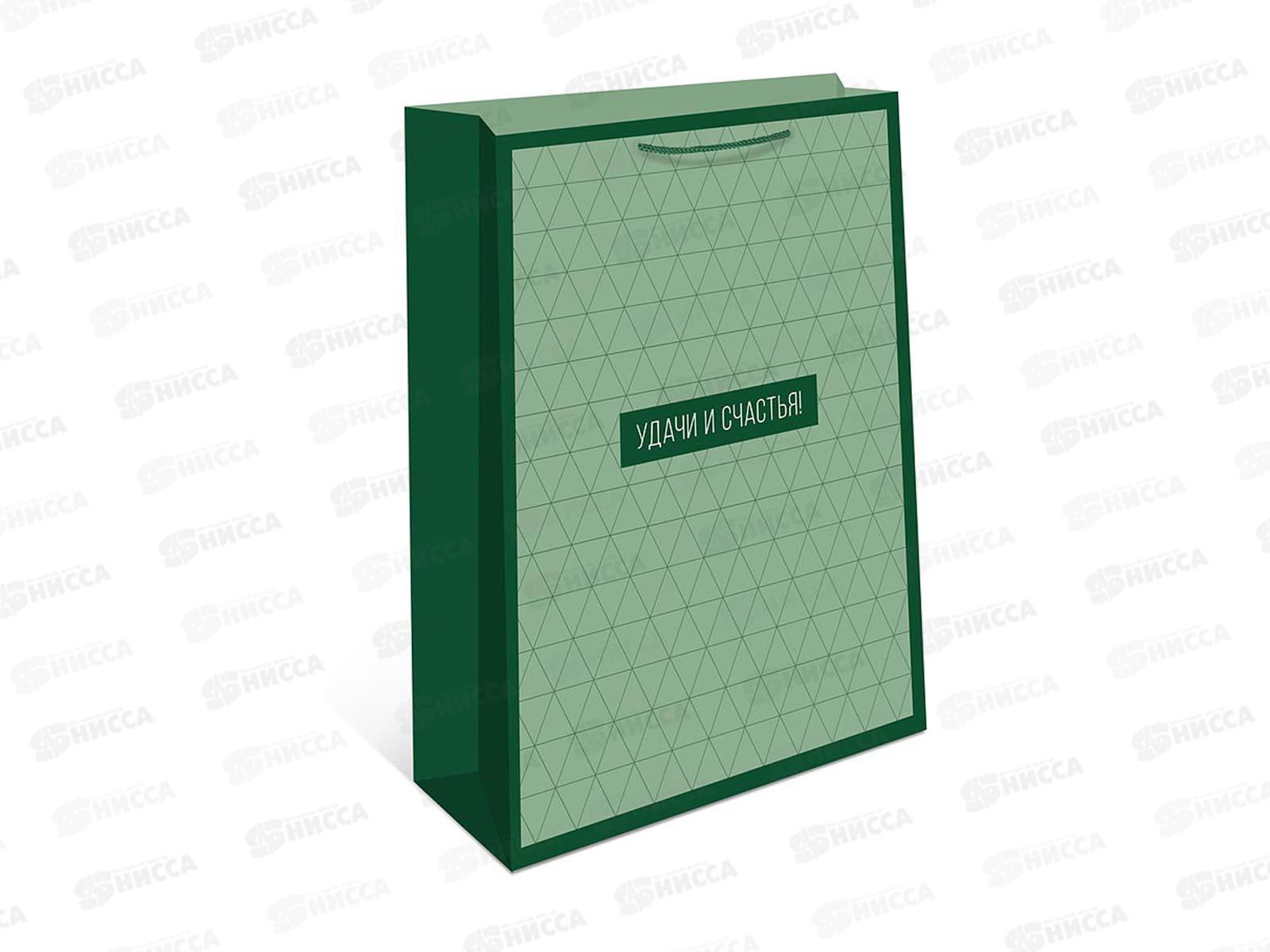 Пакет подарочный АД 18*22,3 0192.901