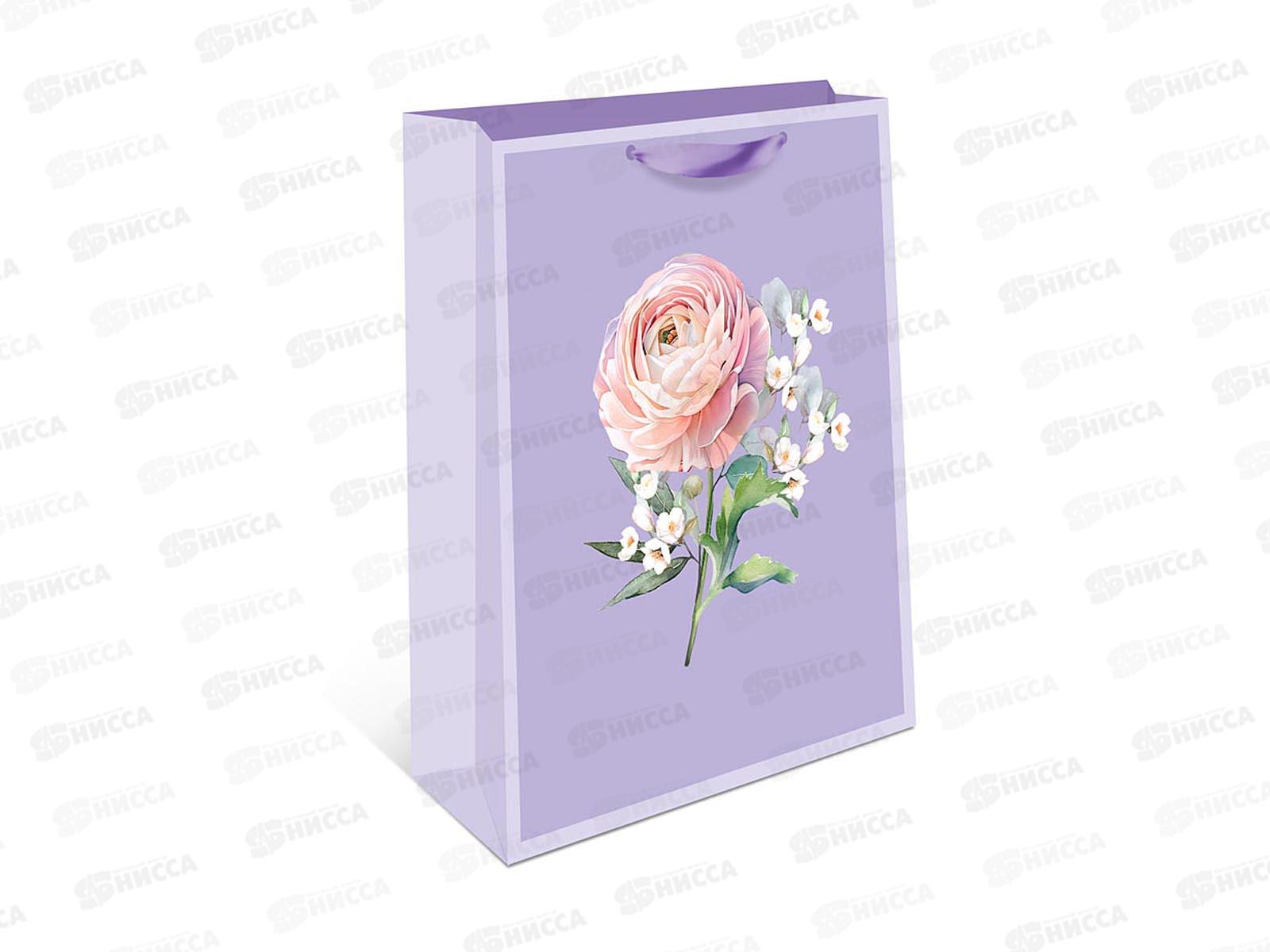 Пакет подарочный АД 18*22,3 Стандарт плюс 2312.124