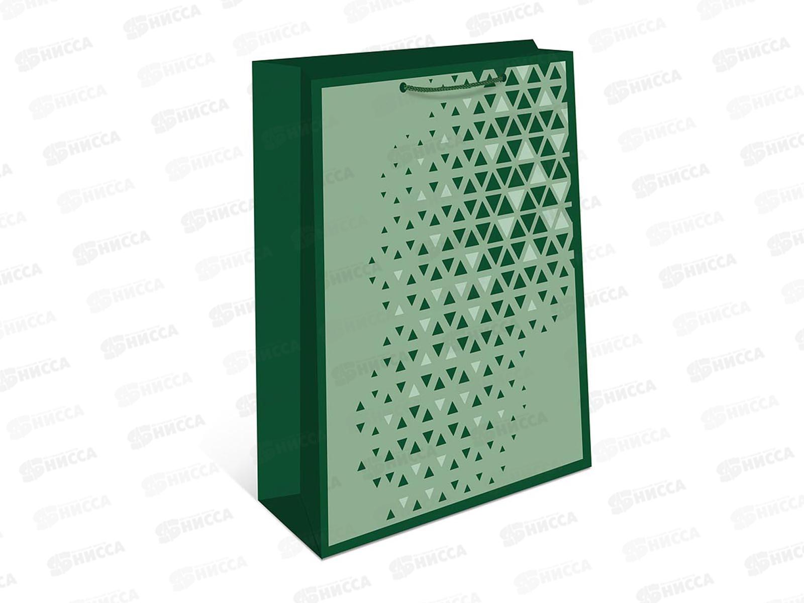 Пакет подарочный АД 26*32 0193.899