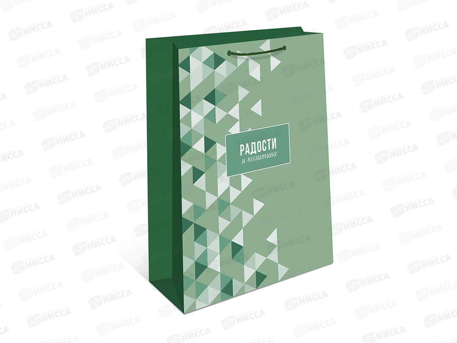 Пакет подарочный АД 26*32 0193.900