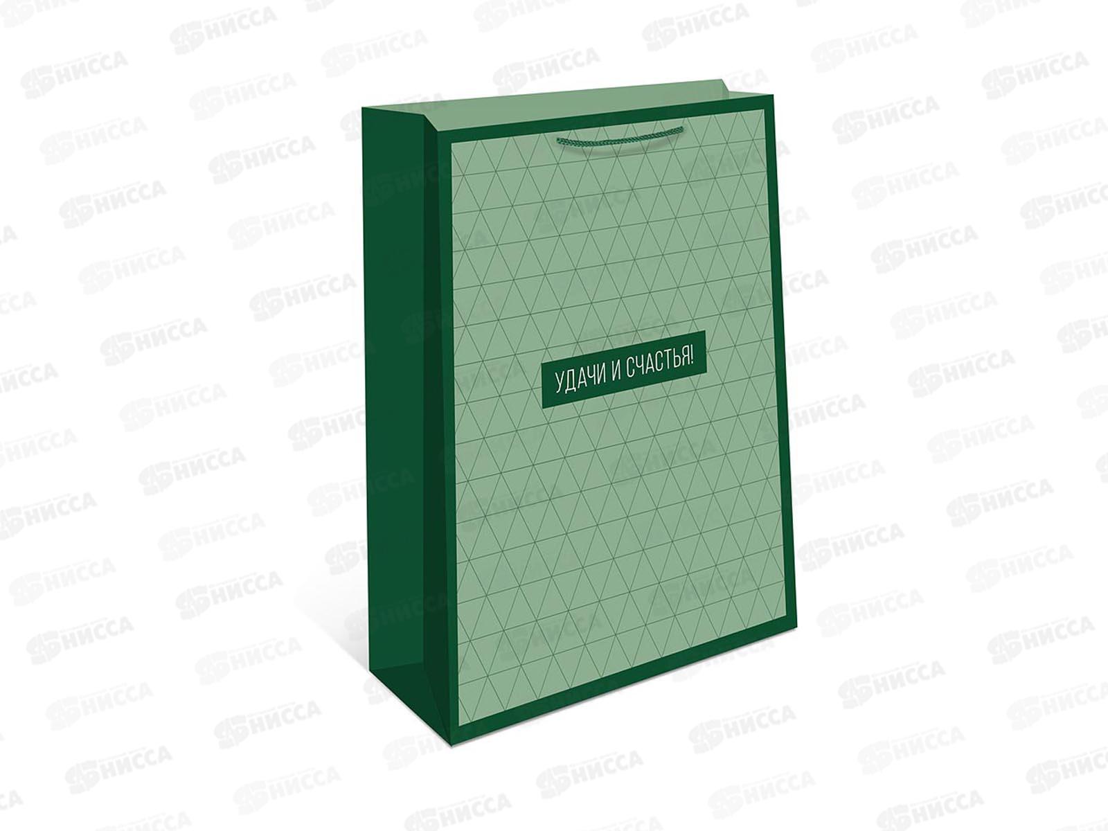 Пакет подарочный АД 26*32 0193.901