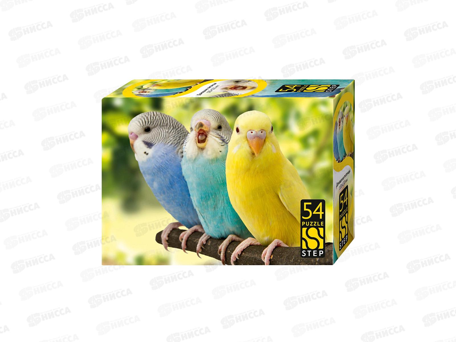 ПАЗ 0054 STEP 71055 Домашние питомцы *40