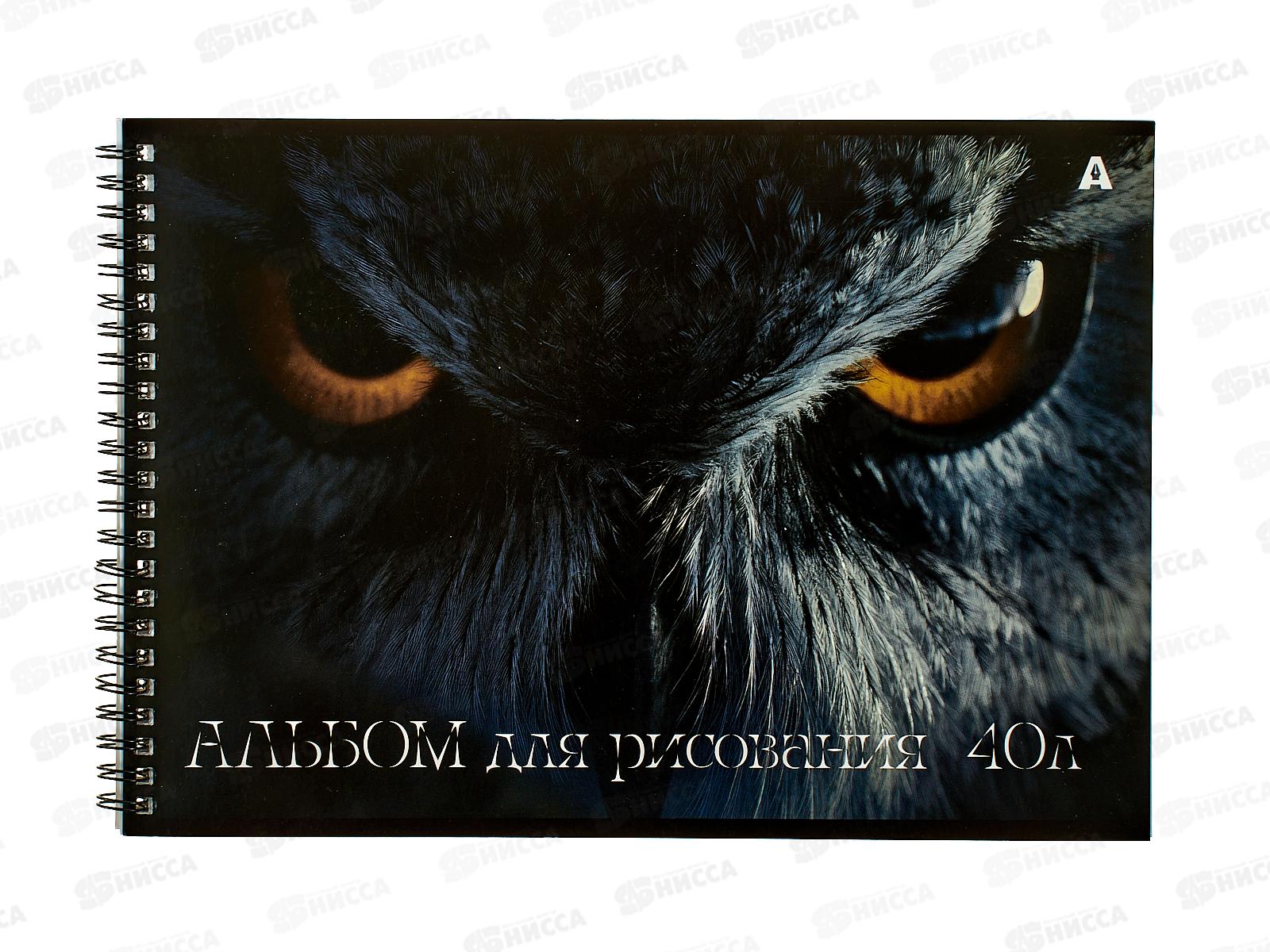 Альбом д/рис.40л Alingar Сова  AL13299*36