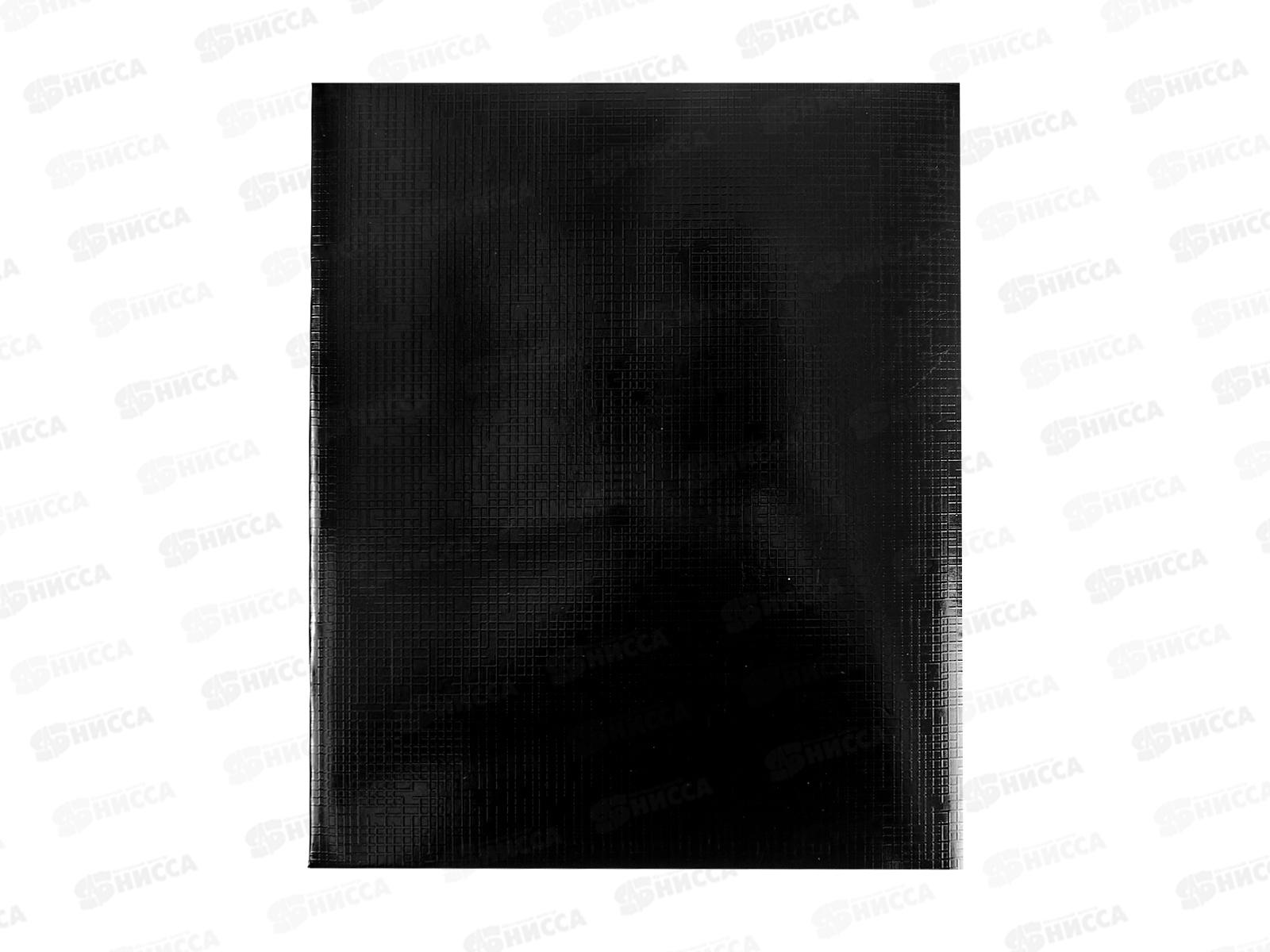 Тетрадь 48л кл. Alingar Black metallic.,  AL12405*8/80