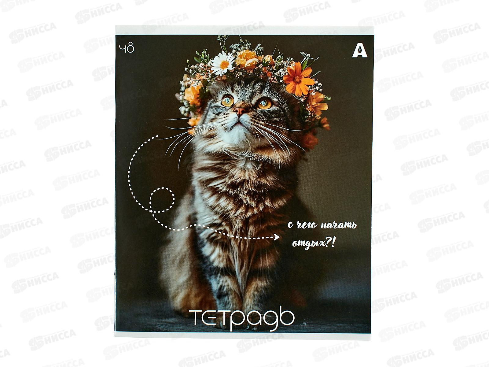 Тетрадь 48л кл. Alingar Кошки, мел. AL9950*5/100