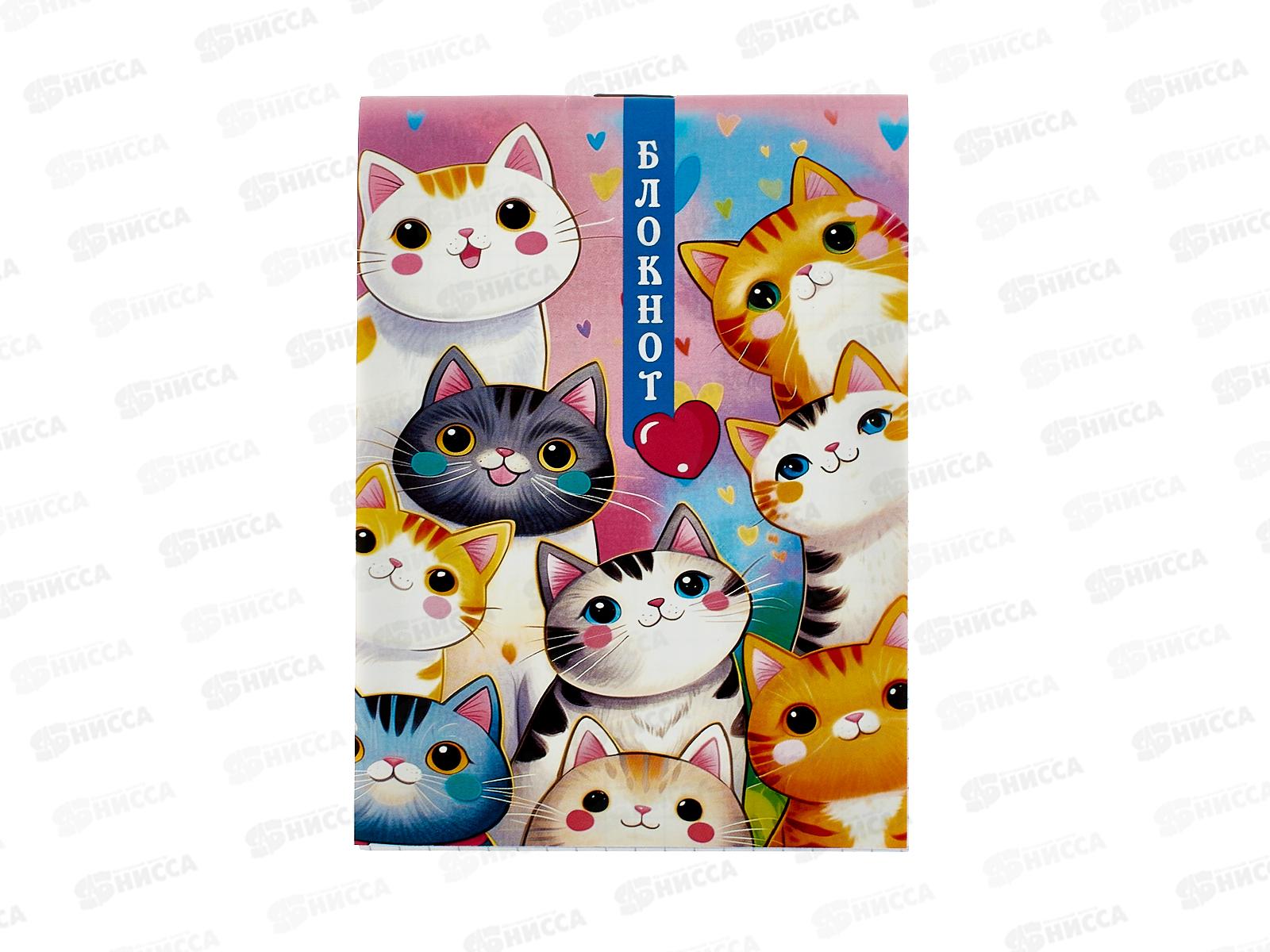 Блокнот 32л ПГС Котоблокнот А6 *24