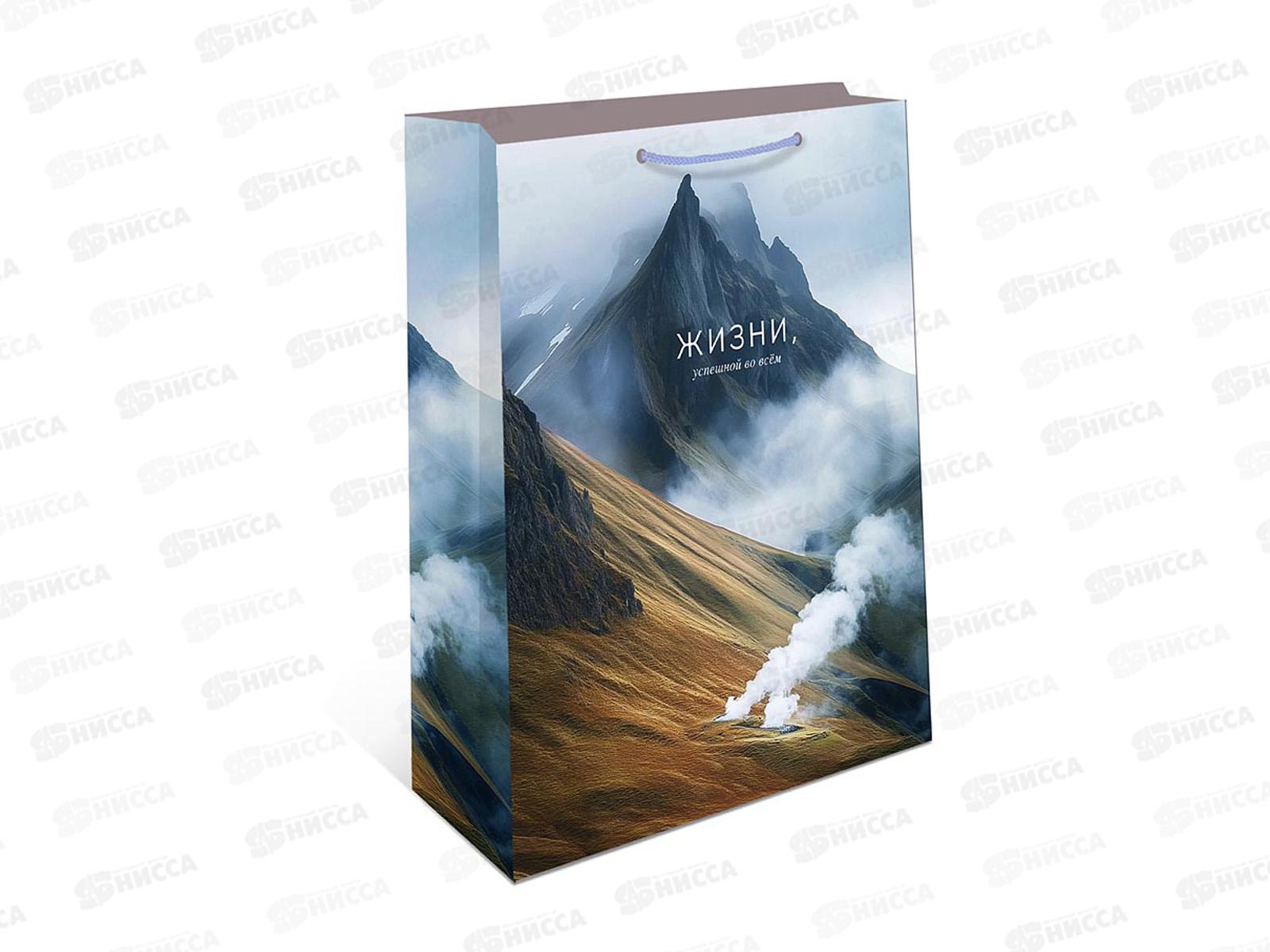 Пакет подарочный АД 18*22,3 0192.772