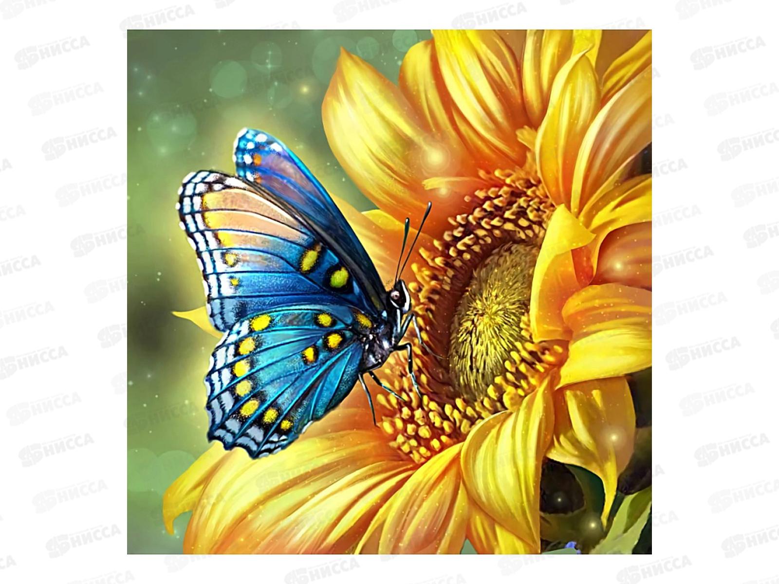 Алмаз. мозаика (класс.) 20х20см Голубая бабочка, НД-0898 на картоне